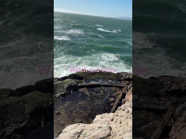 Enjoying sea video️#shorts#shorts#s #music #beach⭐️🫶️️