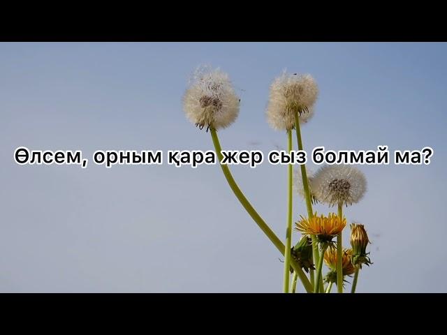 Абай Құнанбаев  Өлсем орным қара жер сыз болмай ма?! |Поэзия|