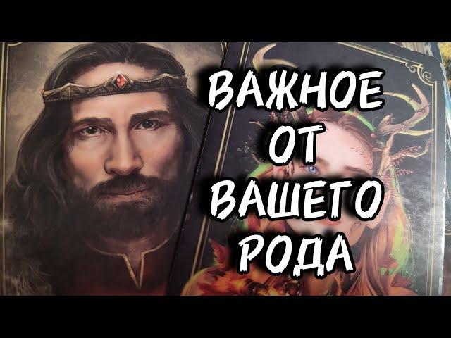 ️Что важное сегодня, ваш Род, хотел бы вам передать?