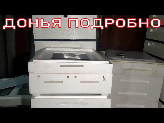 ДОНЬЯ ПЕНОУЛИК ПОДРОБНО