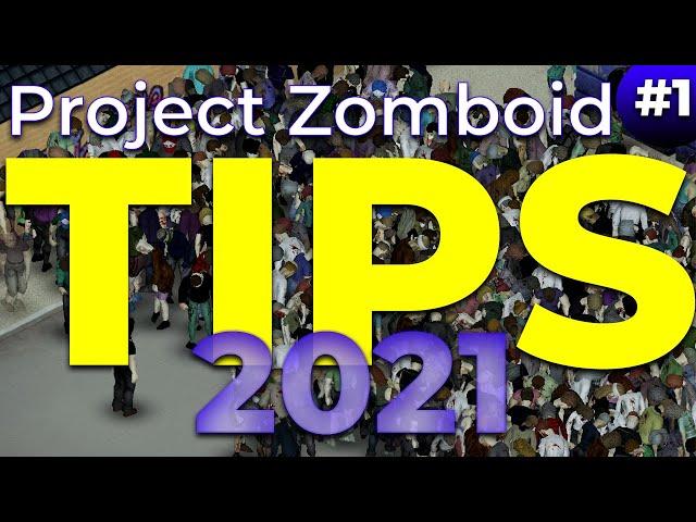 Project Zomboid Build 41 Tips Series for Beginners (Guide)