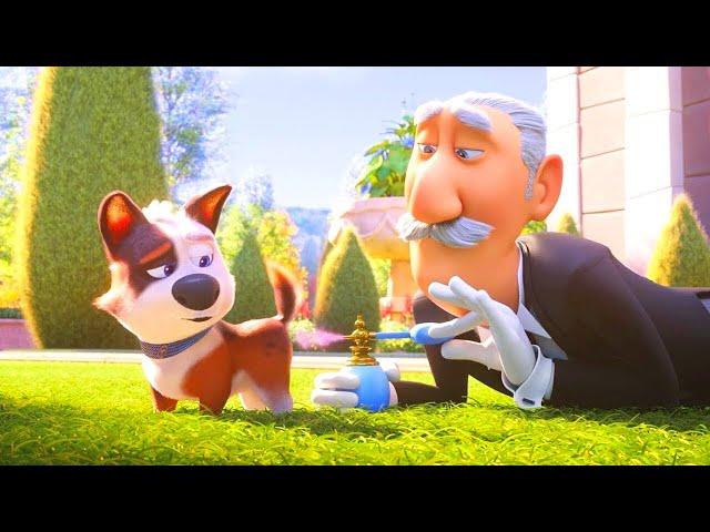 Millionaire Dog Lives in Luxury, but gets Thrown Out and has to Survive! | Movie Recap