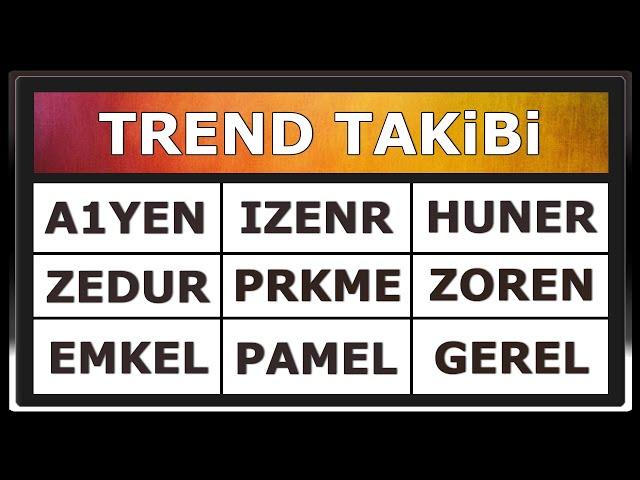 A1YEN IZENR HUNER ZEDUR PRKME ZOREN EMKEL PAMEL GEREL Hisse İncelemesi Yorumu