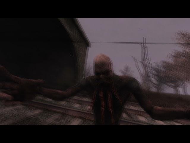 Why I love S.T.A.L.K.E.R. #179 - Bloodsucker in Lost Alpha DC