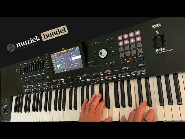 Guitar and Organ on the Keys of the Korg PA5X