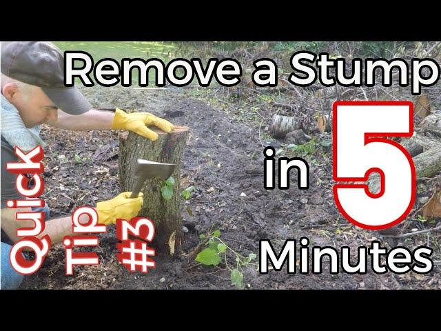 Quick Tip #3 - Visually remove a Tree Stump in 5 Minutes