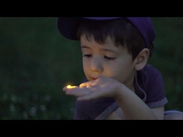 Catching and chasing fireflies for the first time