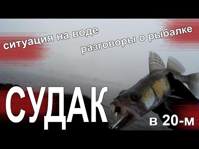 Судак на спиннинг зимой 2020. Снасти, приманки, ситуация на воде