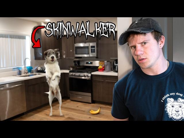 Your Dog Might be a Skinwalker...