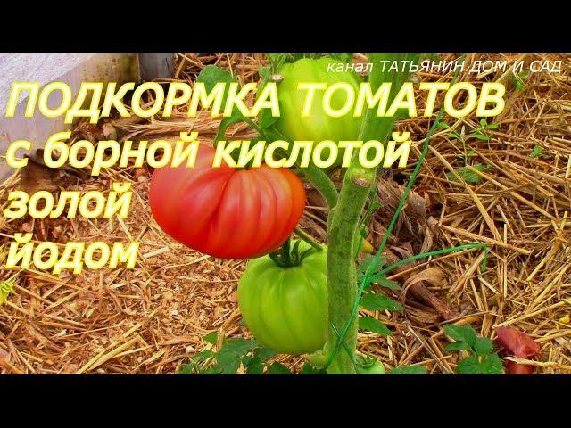 ПОДКОРМКА ТОМАТОВ с борной кислотой золой йодом