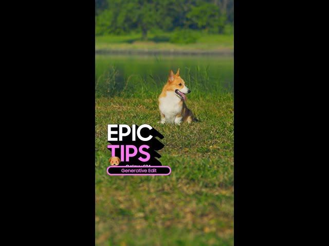 Epic Tips x Galaxy S24 Ultra: Make your pics bow WOW! | Samsung