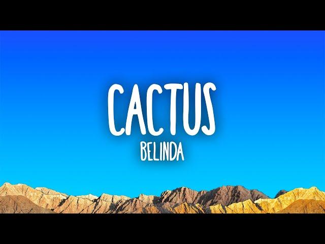 Belinda - Cactus