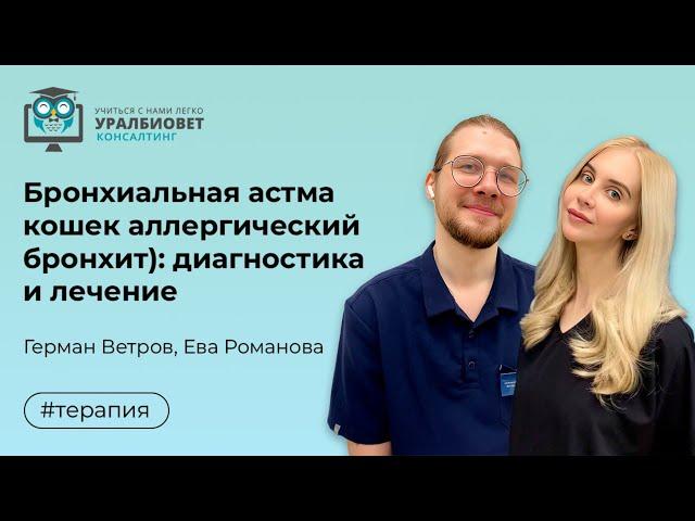 Бронхиальная астма кошек (аллергический бронхит): диагностика/лечение, лекторы Г.Ветров и Е.Романова