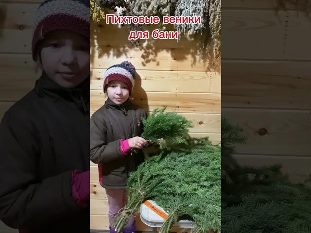 Пихтовые веники для бани#баня #софия рулит