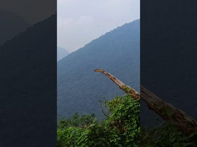 Mountains  #travel #hills #hillstation #travelvlog #ytshorts #shortsvideo #vlog #vrxbroadcast #vrx