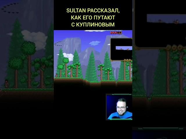 Путают с Куплиновым #sultan #султан #игры #terraria #террария #куплинов #куплиновплей #летсплей