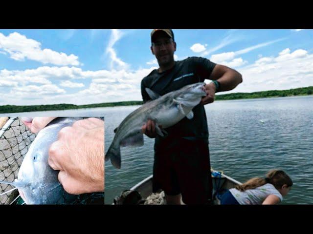 Catfish Jugging - Truman Lake