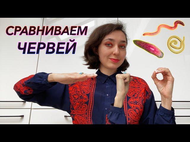 Урок "Сравнение червей" - ЦТ, ЕГЭ, ЗНО.