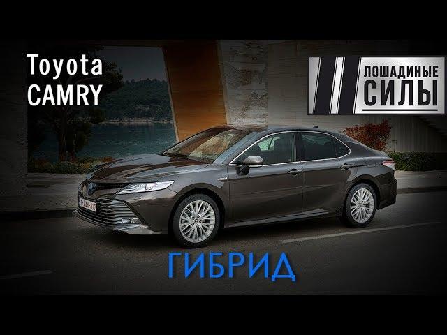 Гибриды побеждают? Первый тест Toyota Camry Hybrid 2019