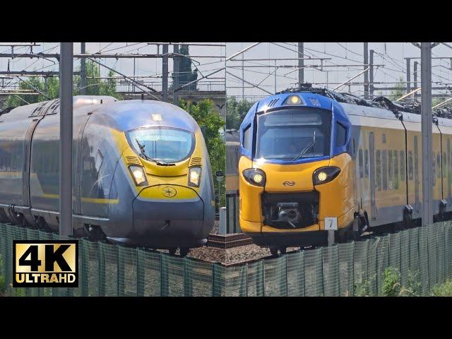 Train Traffic on HSL 4 between Antwerp and Rotterdam (300 km/h) | August  7, 2024