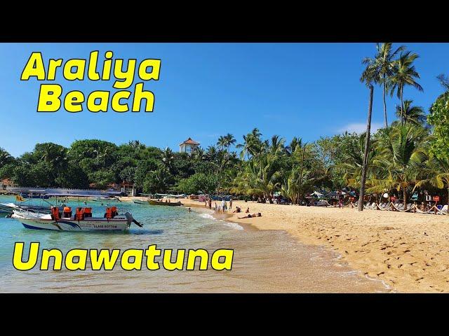 Отель Araliya Beach Unawatuna. Шри-Ланка. Экскурсия на озеро. Японская пагода.