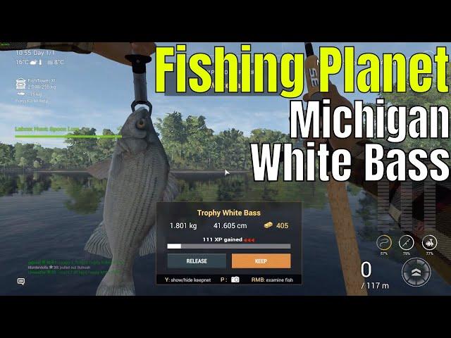 Fishing Planet | Labrax hunt: Spoon lure, Michigan white bass