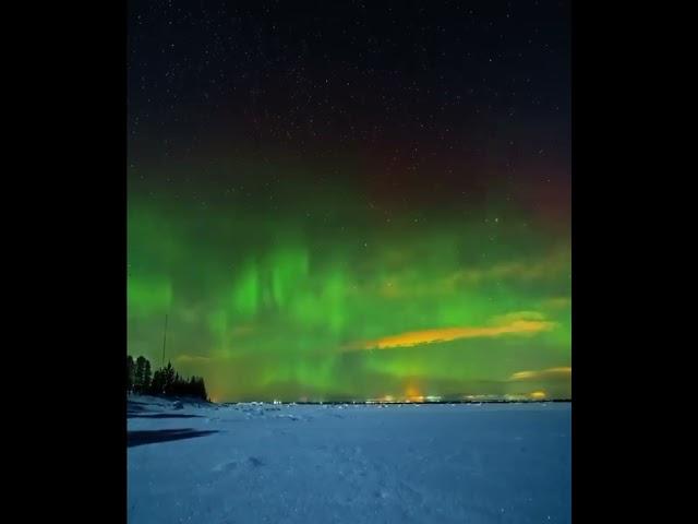 Северное сияние в Ленинградской области (таймлапс)