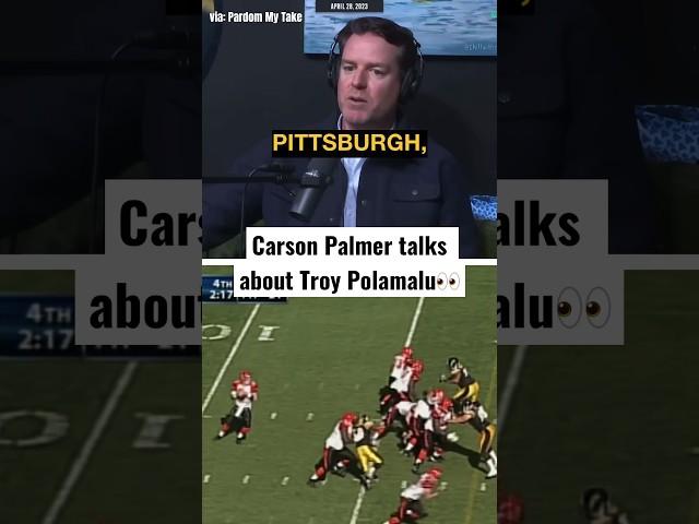 Carson Palmer talks about infamous Troy Polamalu pick 6… #steelers (@PardonMyTakePodcast)