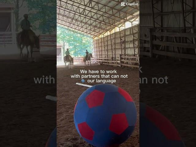 Horse riding is a challenge!#fypシ #horses #equestrian #horserider