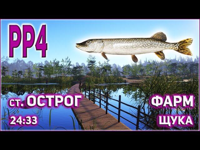 ЩУКА НА ОСТРОГЕ РР4 / РУССКАЯ РЫБАЛКА 4 СТАРЫЙ ОСТРОГ ФАРМ ЩУКА / RUSSIAN FISHING 4 OLD BURG PIKE