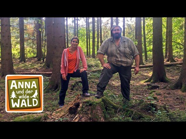 Anna und der wilde Wald | Der Film | preisgekrönt