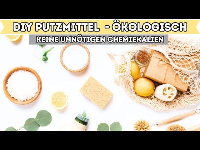 DIY - Putzmittel selbst herstellen OHNE CHEMIE & unmengen an Geld sparen I Alenas Momlife