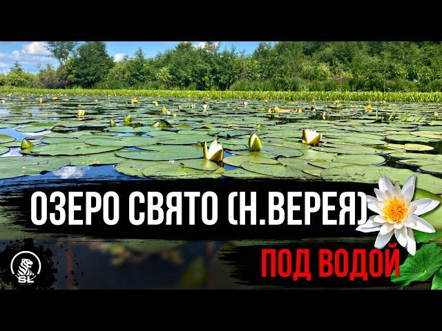 ОЗЕРО СВЯТО // НИЖНЯЯ ВЕРИЯ // ВЫКСА