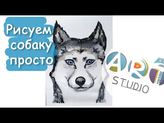 Нарисовать собаку просто. Поэтапное рисование собаки . Последовательное рисование собаки. Хаски