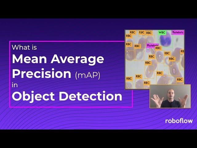 What is Mean Average Precision (mAP)?