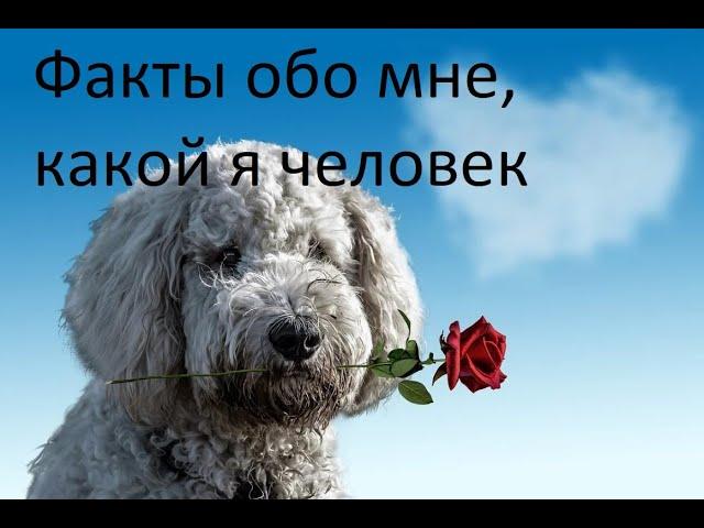 30 фактов обо мне, какой я человек, мои привычки, хобби, занятия. Родион Чепалов