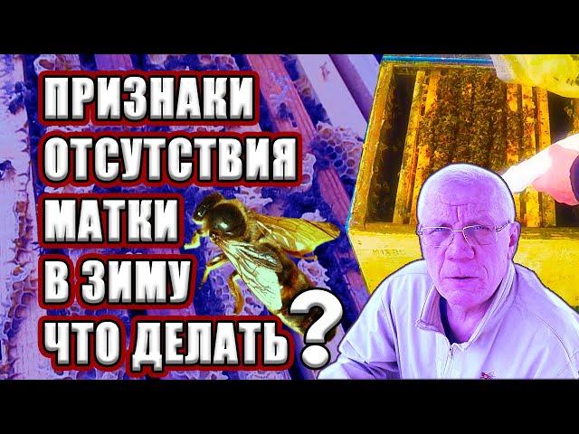 Нет матки Не нашёл матку Признаки отсутствия матки Что делать?