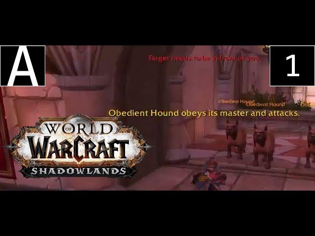 Casual WoWCraft | World of Warcraft (Shadowlands) [1]