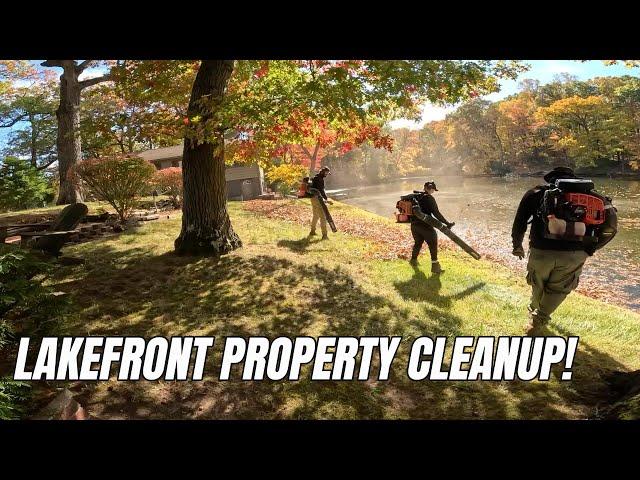 Fall Cleanup On A Lakefront Property!