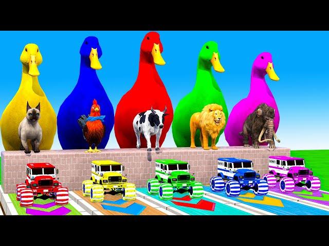 5 Giant Duck Cartoon, Cow,Elephant,Tiger,Cat,Lion, Paint Wild Animals Crossing Fountain Animation