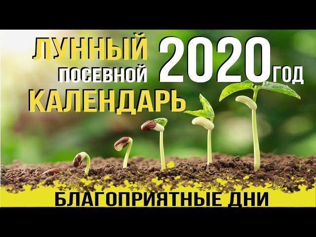 КАК УВЕЛИЧИТЬ УРОЖАЙ? ЛУННЫЙ ПОСЕВНОЙ КАЛЕНДАРЬ на 2020 год, АГРОМАРКЕТ [календарь садовода]