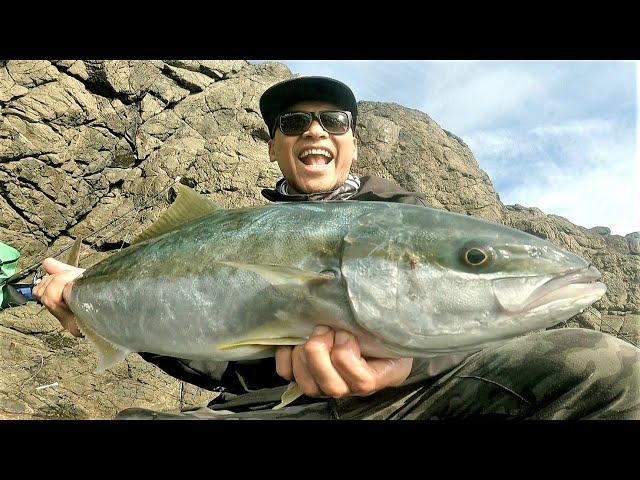 Kingfish, Bonito & Mack Tuna on Live Bait