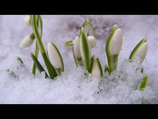 Giovanni Marradi - L'ultima neve di Primavera