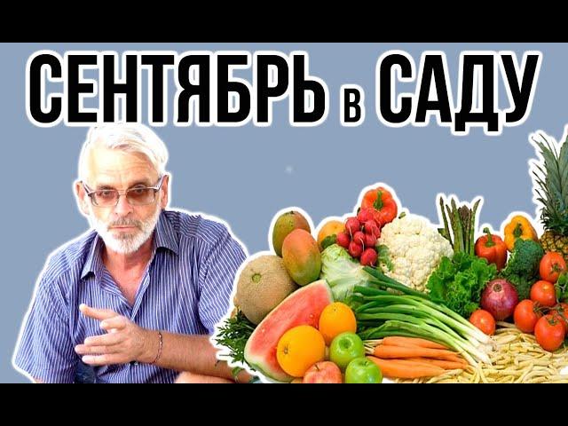 Садовые работы в СЕНТЯБРЕ / Игорь Билевич