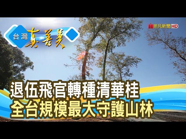 退伍飛官的“清華桂園”｜真桂森林自然農園｜【台灣真善美】2025.01.19