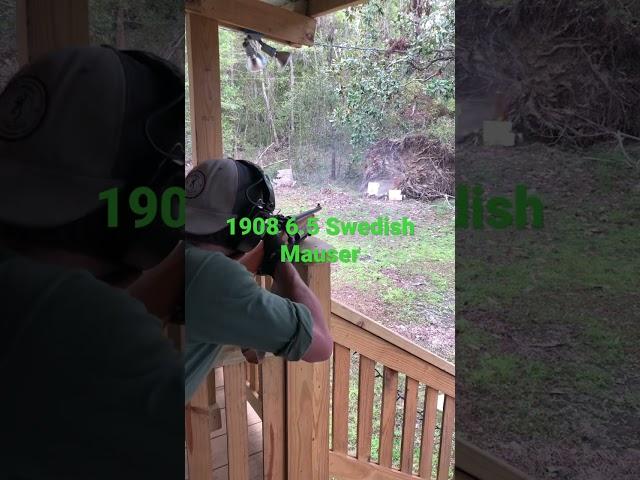 6.5 Swedish Mauser￼