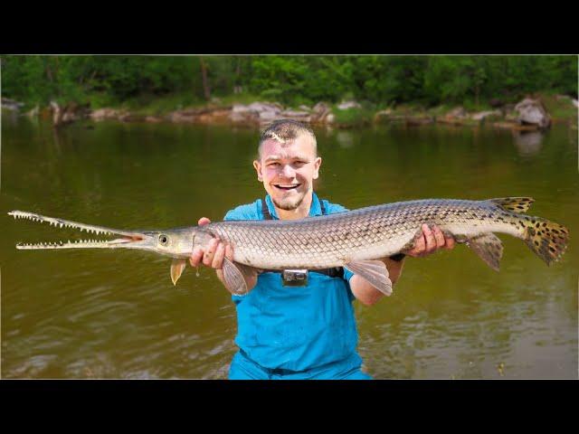 Can I Catch a State Record Gar Fish?