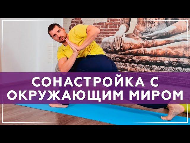 Практика сонастройки с окружающим миром | Йога Чести | Учитель йоги Владимир Присяжнюк