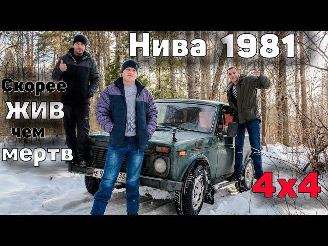 Купили ниву за 30 т.р. Во что превратилась старушка с 1981 года?