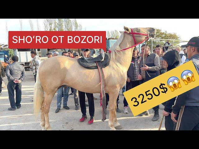 TOSHKENT SHOʻRO OT BOZORI BUNAQASI BOMAGAN 3250$ ANDIJONGA KETTI️️ 21.10.2024.